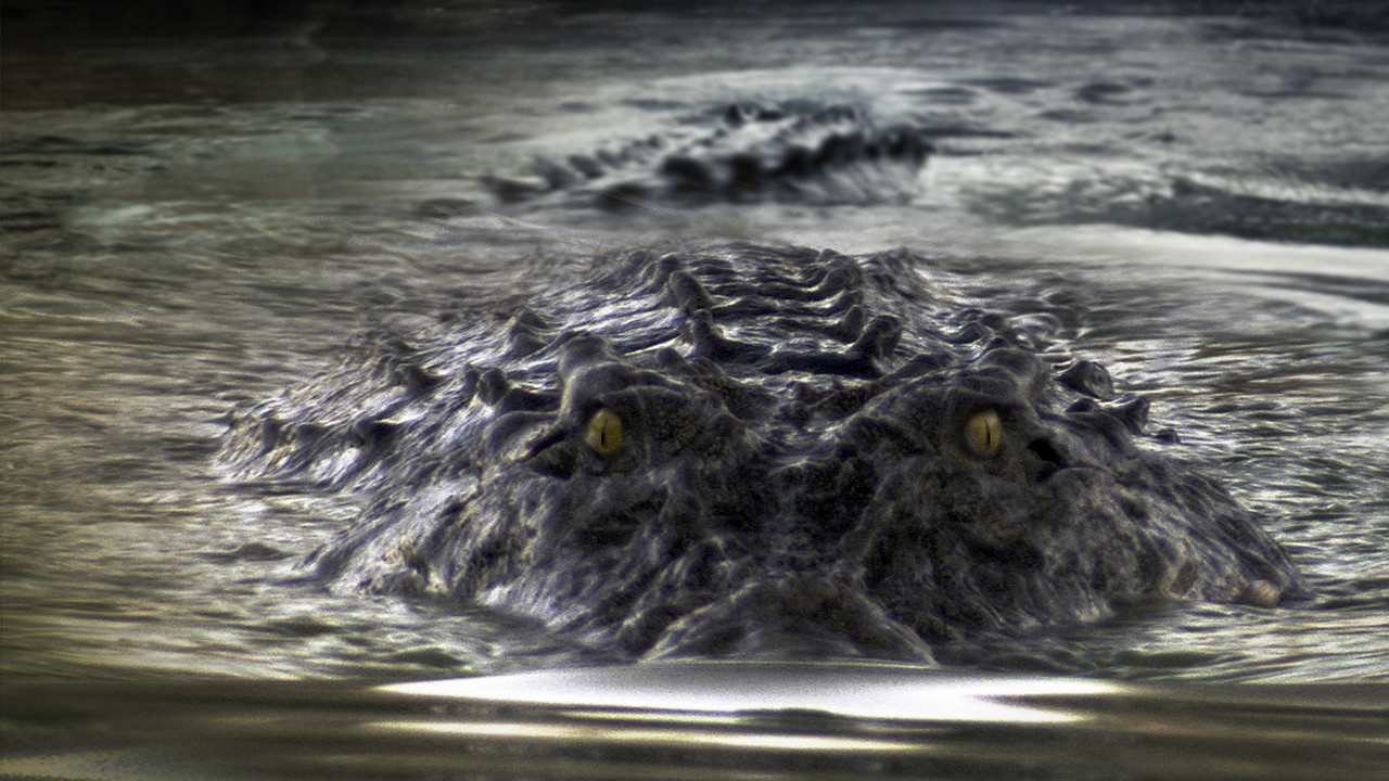 Black Water Collection background